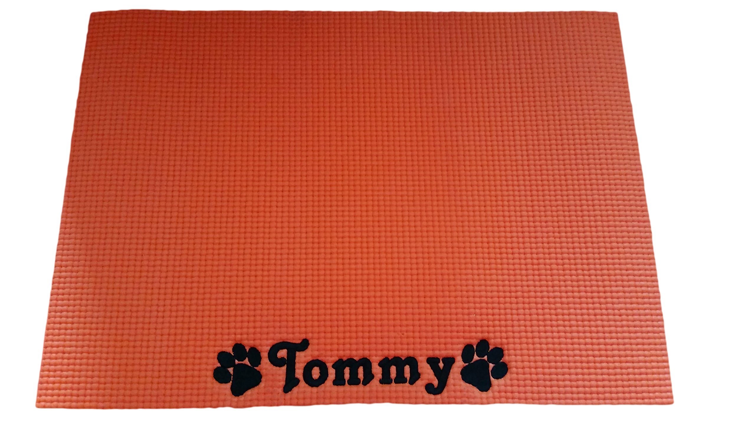 Personalised Food Mat. Personalised Placemat/Place Mat/Food Mat/Bowl Mat/Feeding Mat for Dog, Cat or Pet. (Orange)