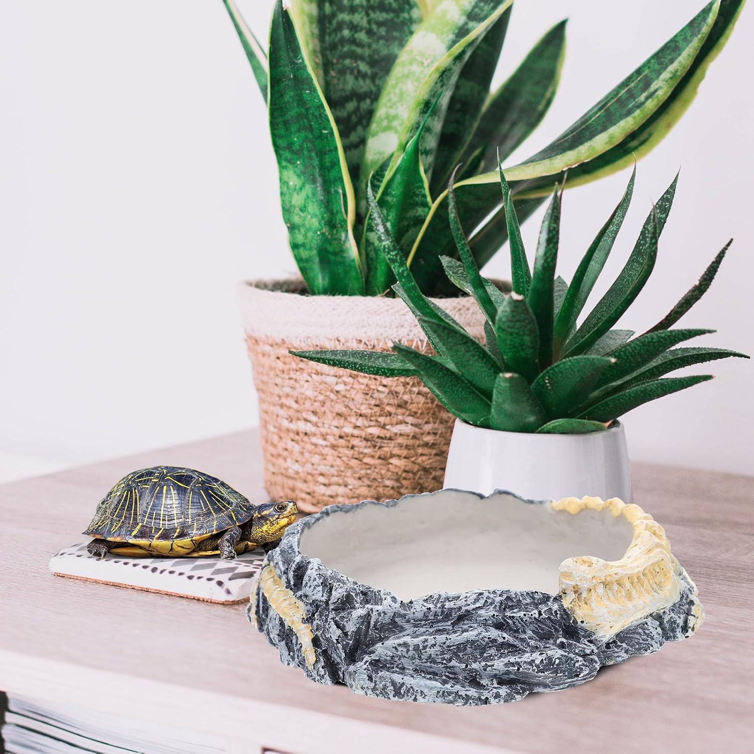 VICASKY Reptile Water Dish and Feeding Bowl Resin Turtle Lizard Snake Terrarium Accessory Household Water Bowl for Amphibians and Small Pets