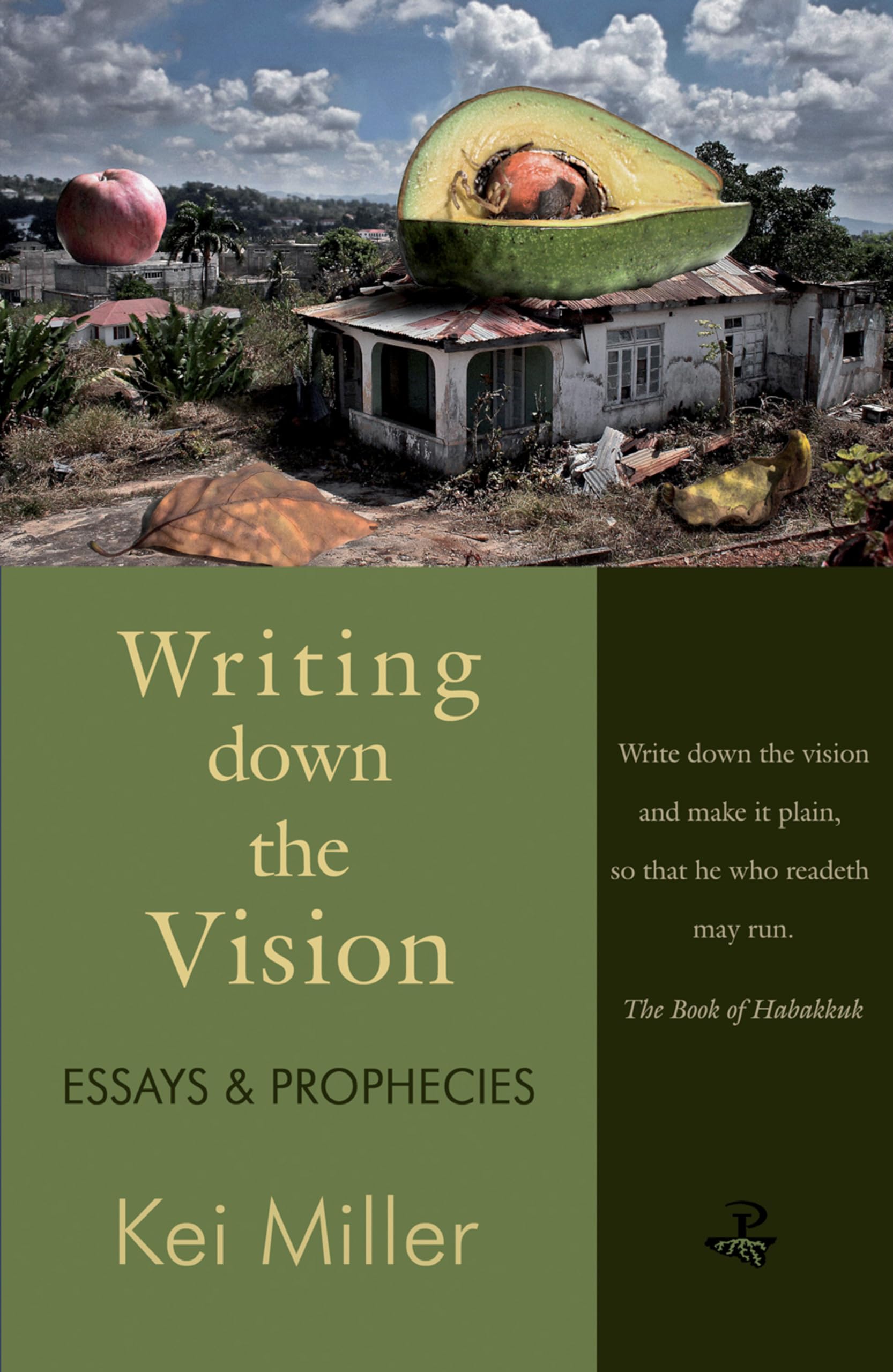 Writing Down the Vision Essays & Prophecies by Kei Miller (Paperback Book)
