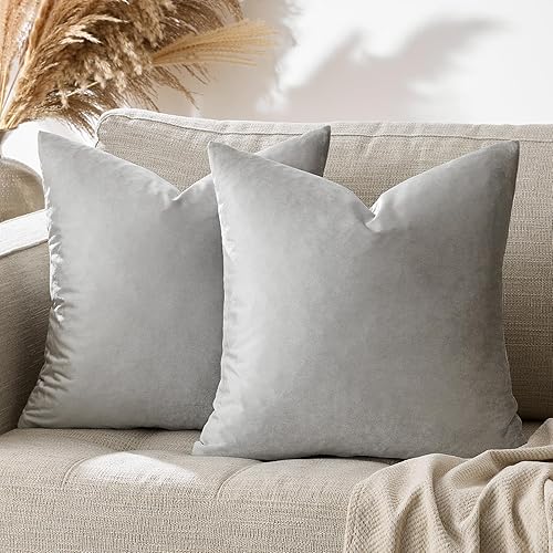 GIGIZAZA - Juego de 2 fundas de almohada decorativas de terciopelo gris plateado para sofá, cama, fundas de cojín suaves (gris plateado, 20 x 20