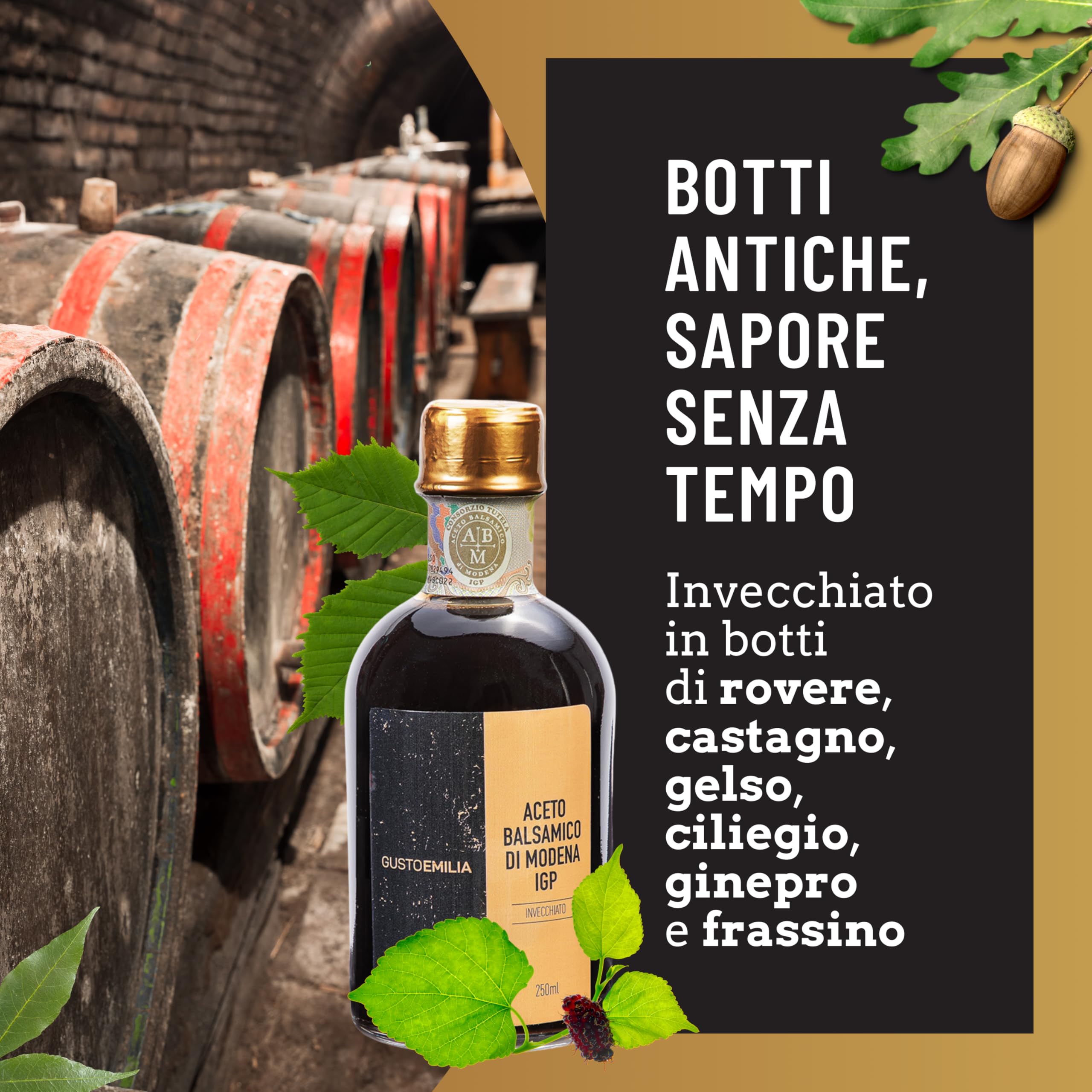 GUSTOEMILIA - Aceto Balsamico di Modena I.G.P. Autentico Tradizionale Invecchiato Qualità Sigillo Oro Bottiglia da 250 ml
