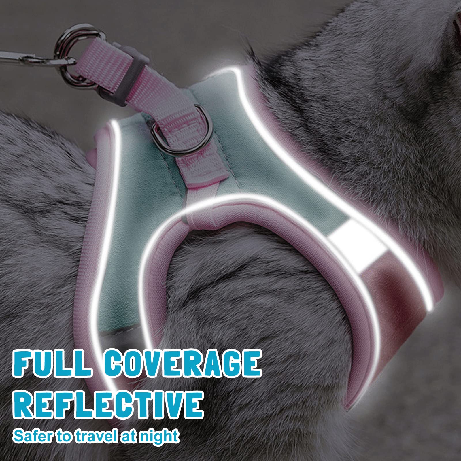 PETCUTE Traspirante Pettorina Gatto con Guinzaglio,Pettorina per Gatti Antifuga,Regolabile e Leggera,Imbracatura per Gatti Antifuga con Rete Traspirante e Strisce Riflettenti,Passeggiate all'aperto