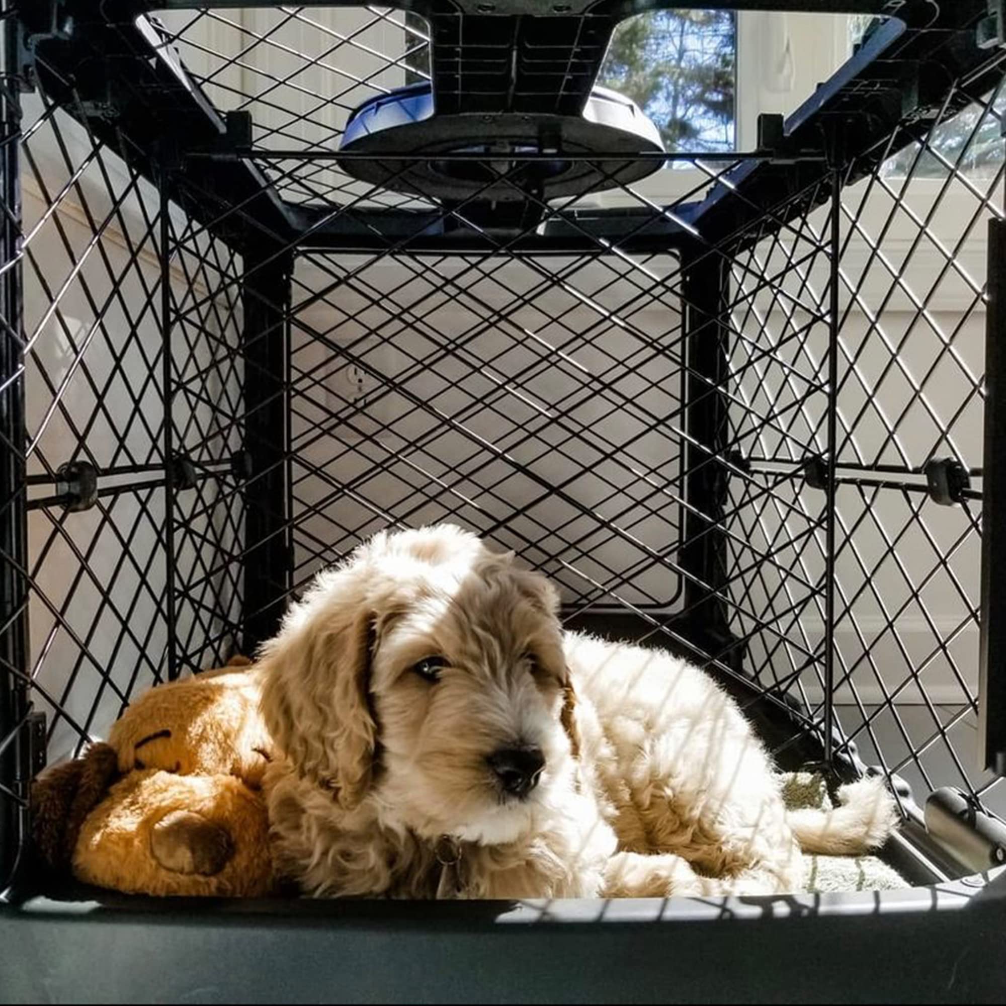 Buy Diggs Revol Dog Crate (Collapsible Dog Crate, Portable Dog Crate