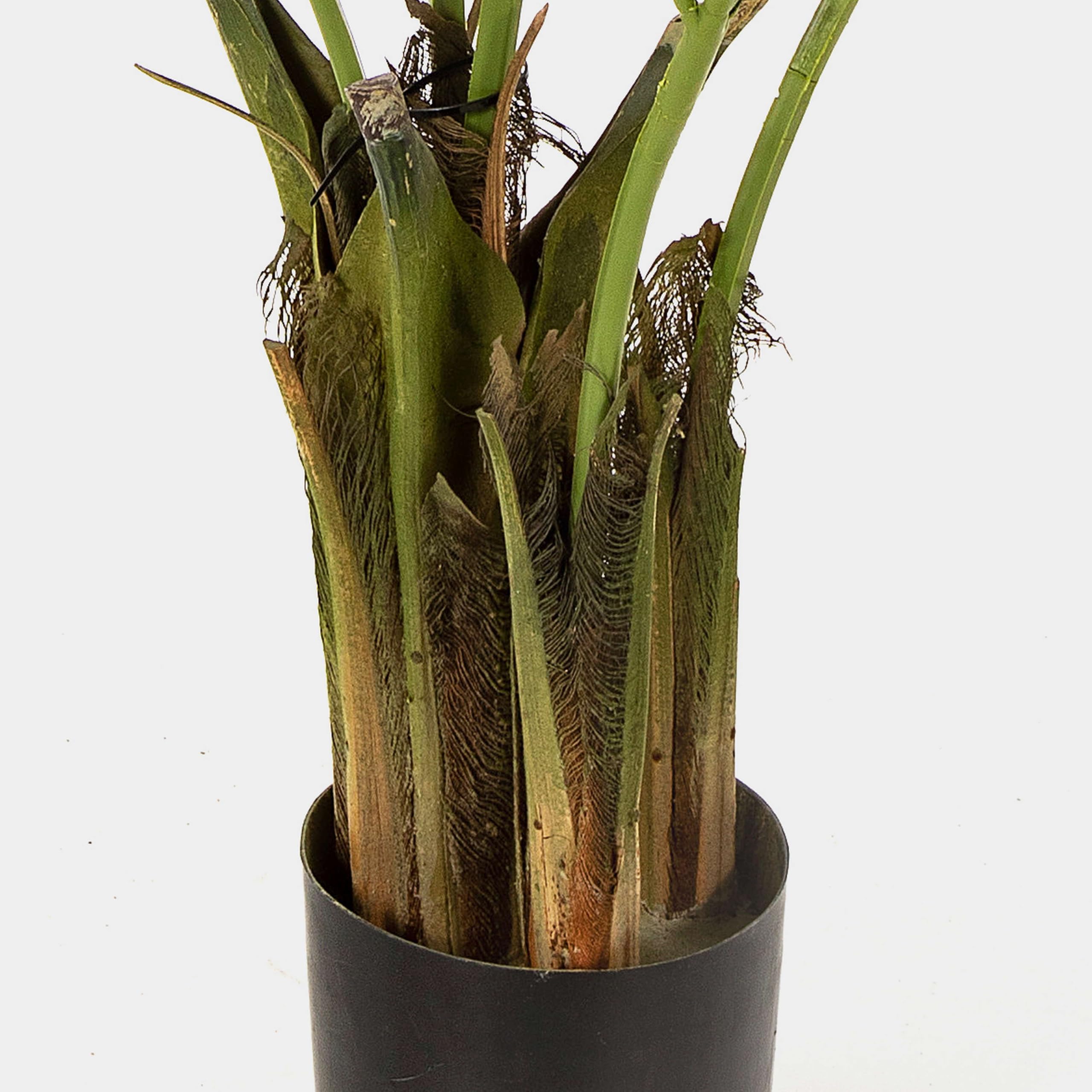 Amazon.de: artplants.de Knstliche Kentia Palme KAROLIINA, 110cm - Howea  forsteriana Kunstpalme