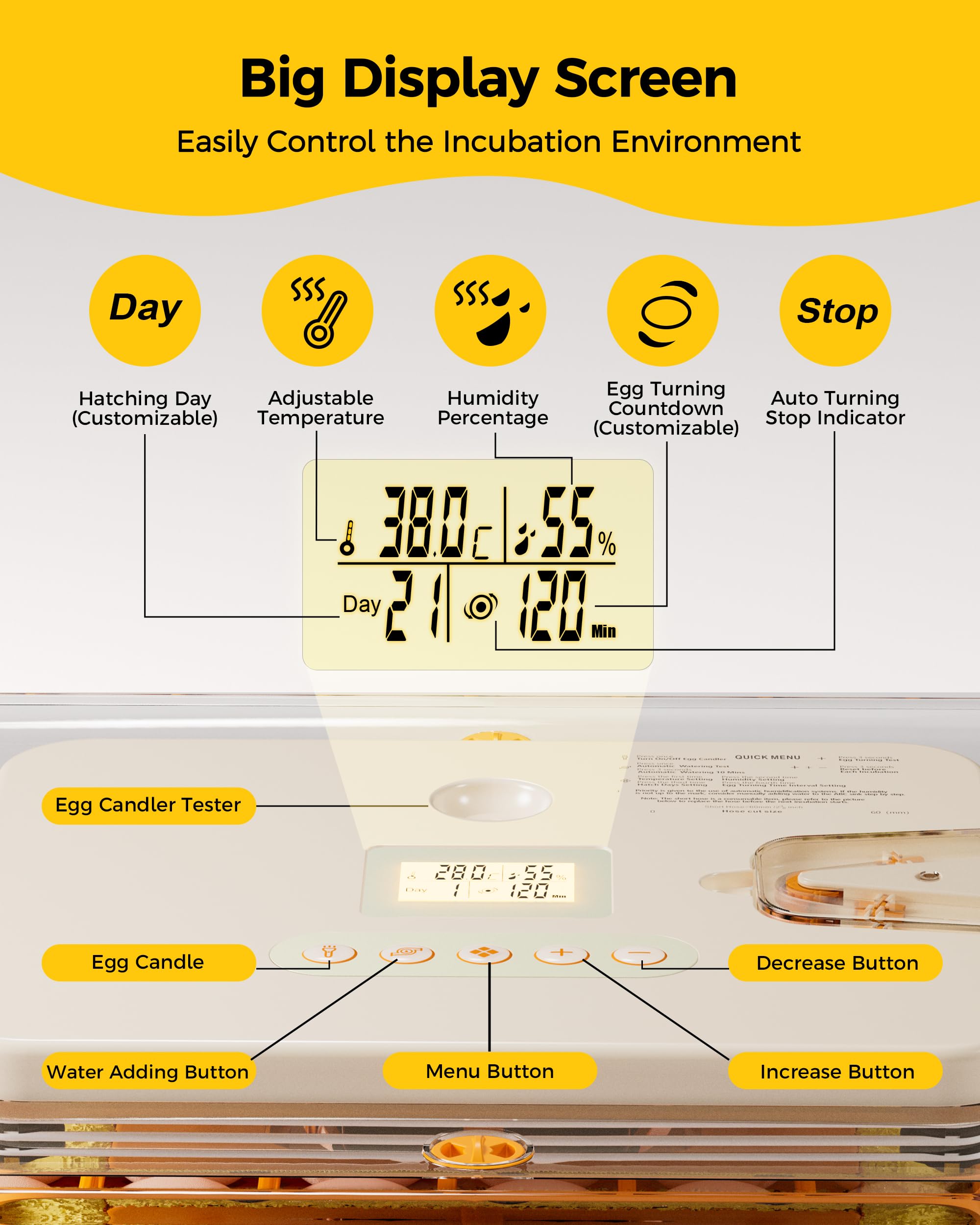 Incubadora de 56 huevos con giro automático de huevos y control de humedad, visualización de 360°, bandejas de huevos de doble tamaño para pollo, pato, ganso, pavo, codorniz y huevos de loro