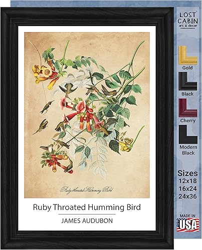 Vista 99 de Towee Bunting by James Audubon - Marco biselado negro de 12 x 16 pulgadas, decoración artística enmarcada para pared, reproducción de pinturas