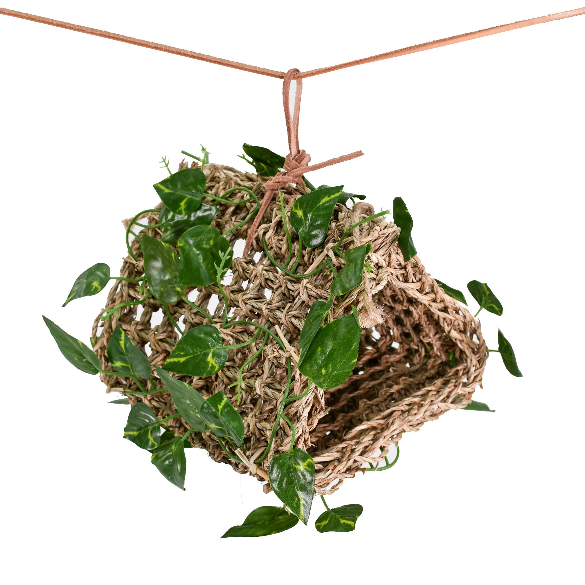 Lizard Lounger Penn-Plax Reptology for Bearded Dragons, Iguanas, and Other Reptiles - Easy to Hang (Hanging Hideout), Seagrass (REP708)