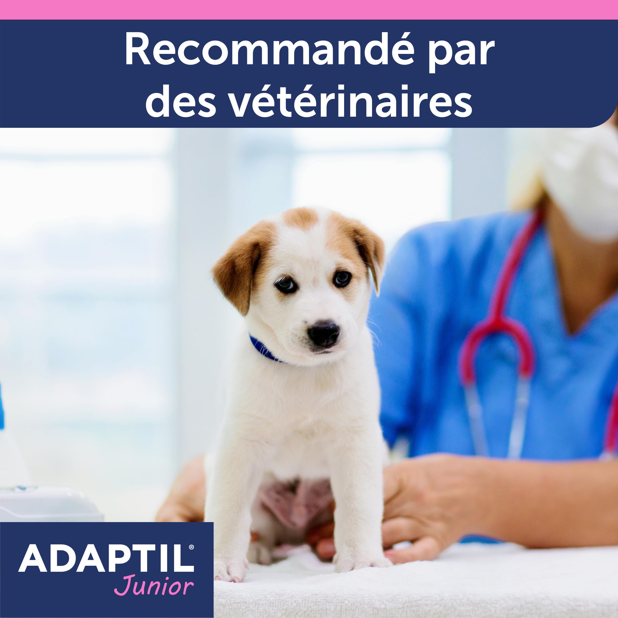 ADAPTIL Junior – Anti-stress pour chien – Collier Pour Chiots