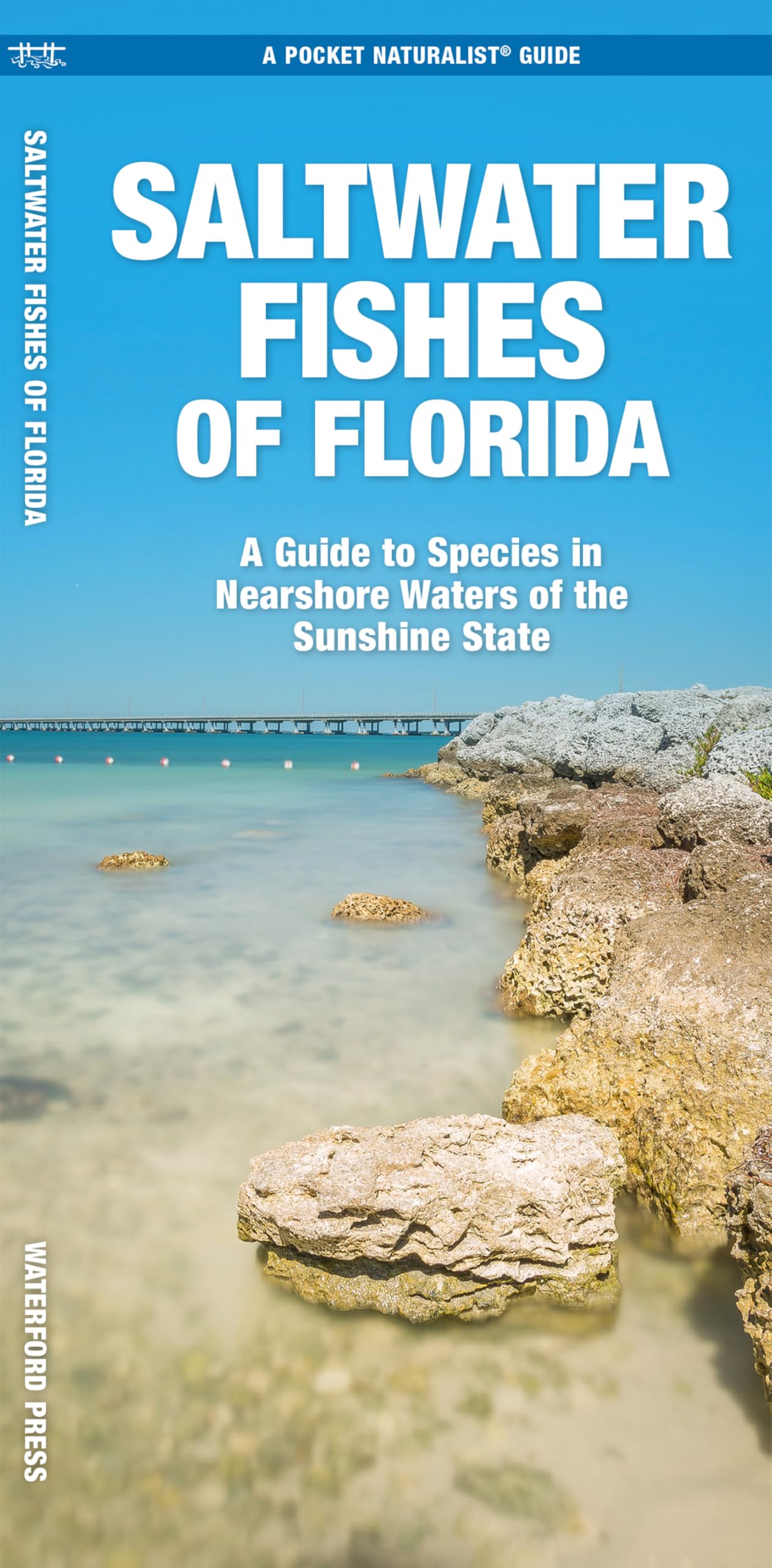 Saltwater Fishes of Florida: A Guide to Species in Nearshore Waters of the Sunshine State (Nature Observation North America)