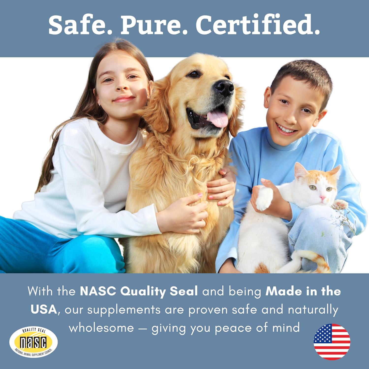 Wholistic Pet Organics Wild Alaskan Salmon Oil for Dogs and Cats - Omega 3 Fish Oil for Dogs & Cats - Cat & Dog Skin and Coat Supplement for Heart, Joints - DHA, EPA Omega 3 Liquid Food Topper - 8 oz