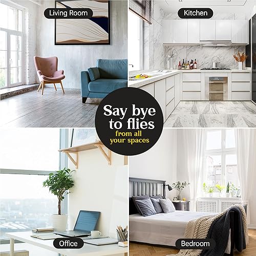 Miniatura 3 de Trampa para moscas en interiores o exteriores  Las trampas para moscas de ventana son transparentes y transparentes  También para polillas,