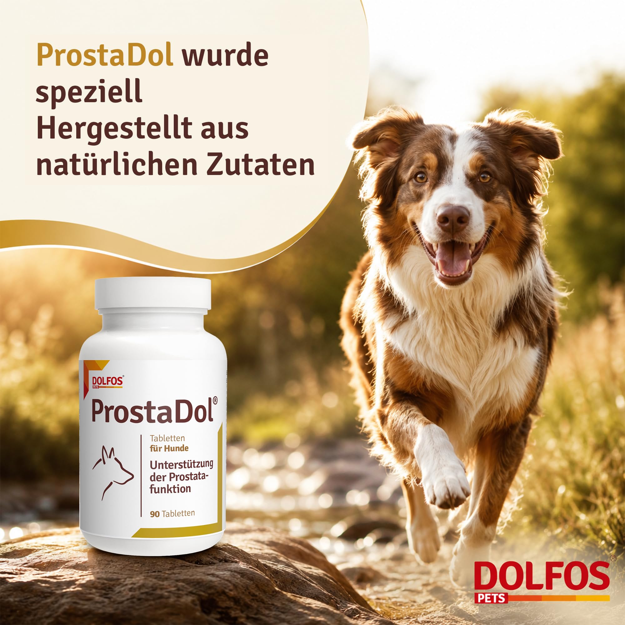 DOLFOS PETS ProstaDol, 90 Tabletten für Hunde, Prostata Hund & Harnwege unterstützen, Mit Kürbiskern Cranberry Hund, Natürliches Nahrungsergänzungsmittel bei Inkontinenz & Blasenschwäche