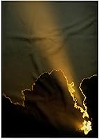 Vista 7 de 3dRose 15x22 Hand Towel - USA, Florida, Miami. Sunbeam - US10 MWT0002 - Michele Westmorland Sunbeams