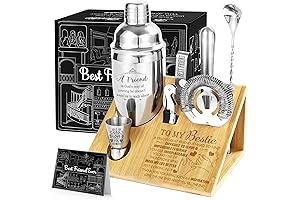 Friendship Cocktail Shaker Set Gift for Home Bar