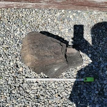 富士　溶岩石　160キロ　庭石　鑑賞石　石　庭　坪庭　ガーデニング　置物 浅間溶岩石165キロ庭石鑑賞石石庭坪庭ガーデニング置物