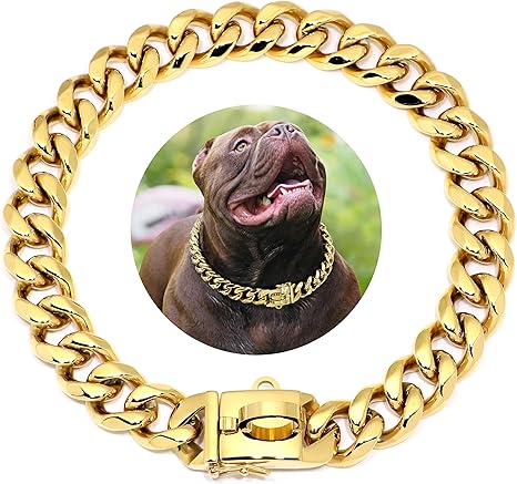 dog chain collar amazon