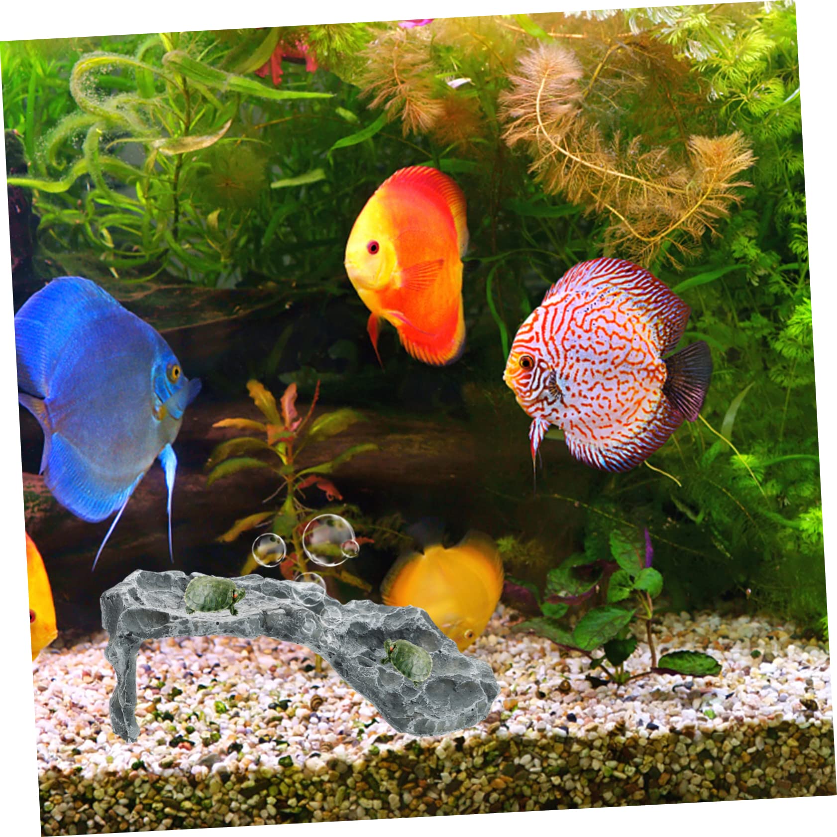 Happyyami Hábitat Reptiles Decoración Acuario Escondite Plataforma Tortuga Resina Durable
