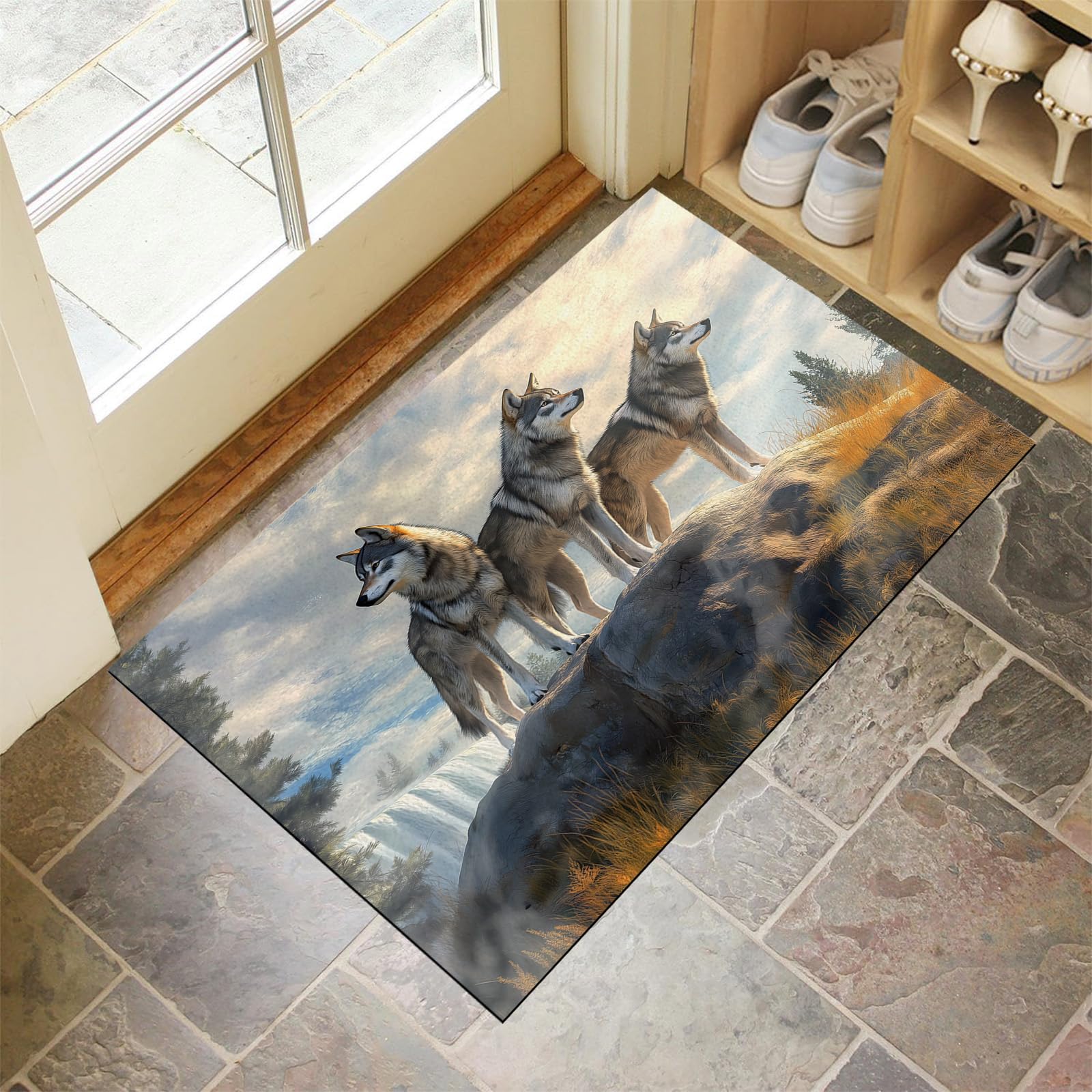 Paillasson absorbant et tapis lavable attrape poussière