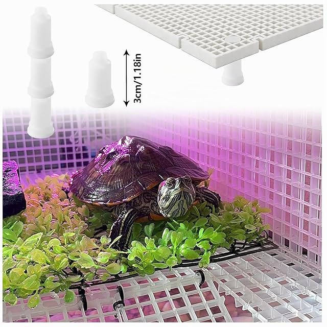 Foto 4 de 6 de Seutmrou 4 Piezas Separador para Acuario con 8 Clips de Ventosas y 24 Soportes