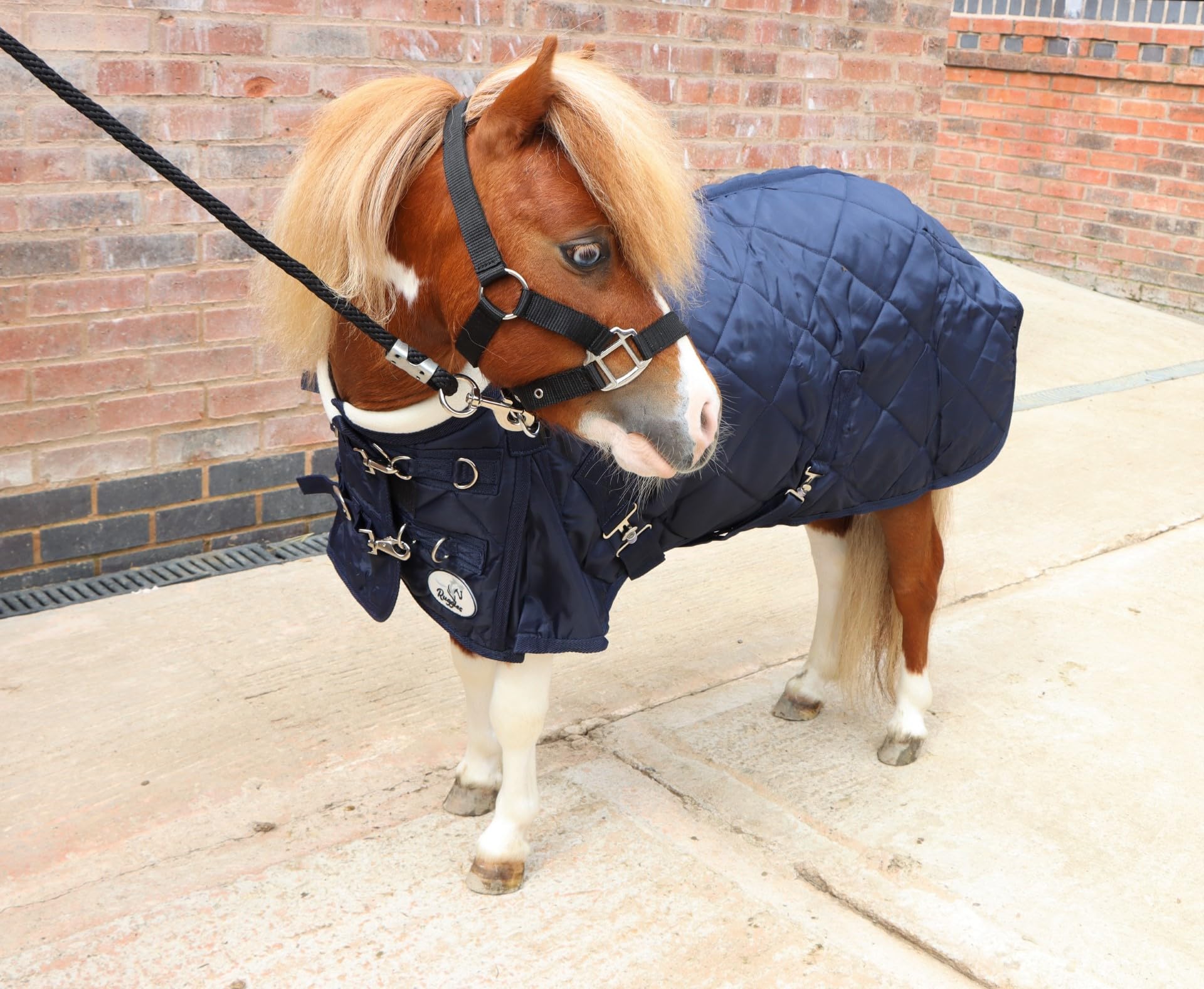 View 4