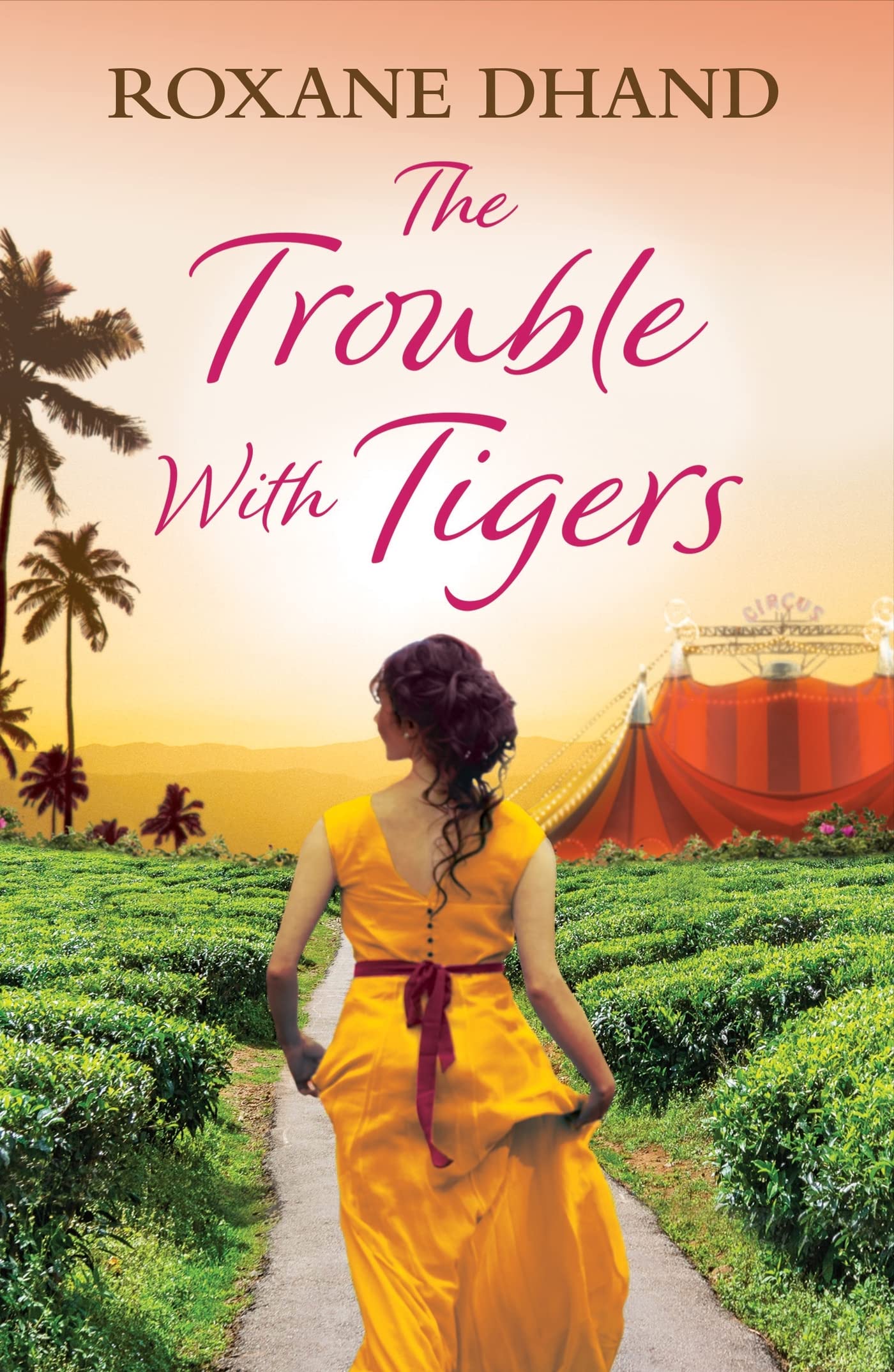The Trouble with Tigers: A gripping and sweeping tale of unforgettable adventures and unforgiveable secrets