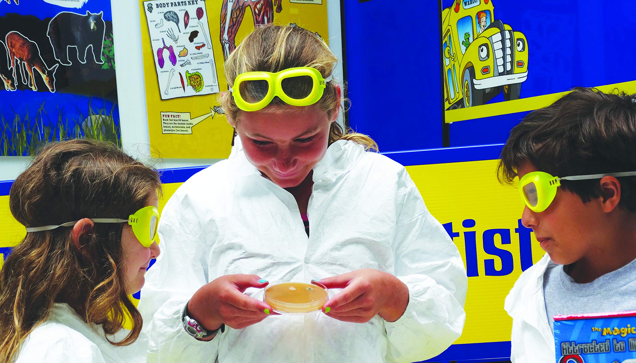 Buy The Magic School Bus Rides Again The World of Germs By Horizon