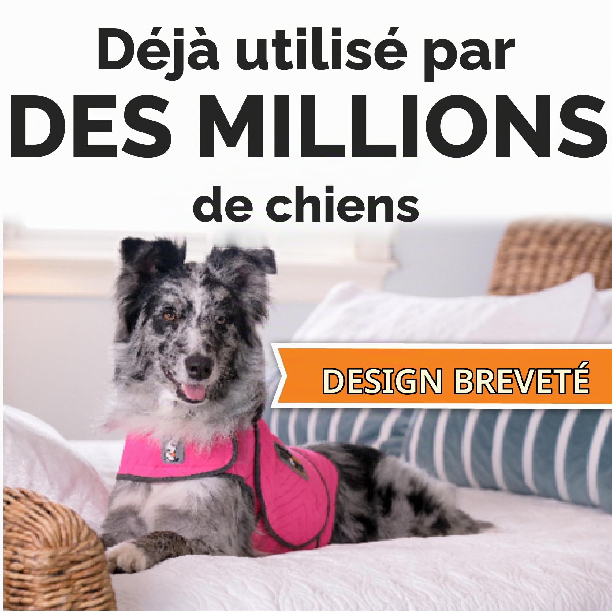 ThunderShirt Gilet apaisant pour Chiens, soulage l’anxiété, Style Sportif, Taille L, Rose Fuchsia