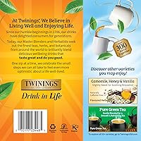 Vista 558 de Twinings Blackcurrant Breeze - Té negro, 6 paquetes de 20 unidades, bolsas de té envueltas individualmente, dulce, sabor picante, con cafeína