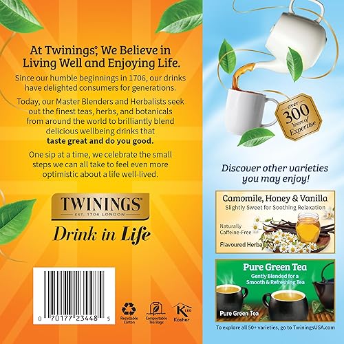 Vista 565 de Twinings, Pure Green Tea - Té verde con sabor suave y aroma atractivo con cafeína, disfruta caliente o helado, bolsas de té individuales