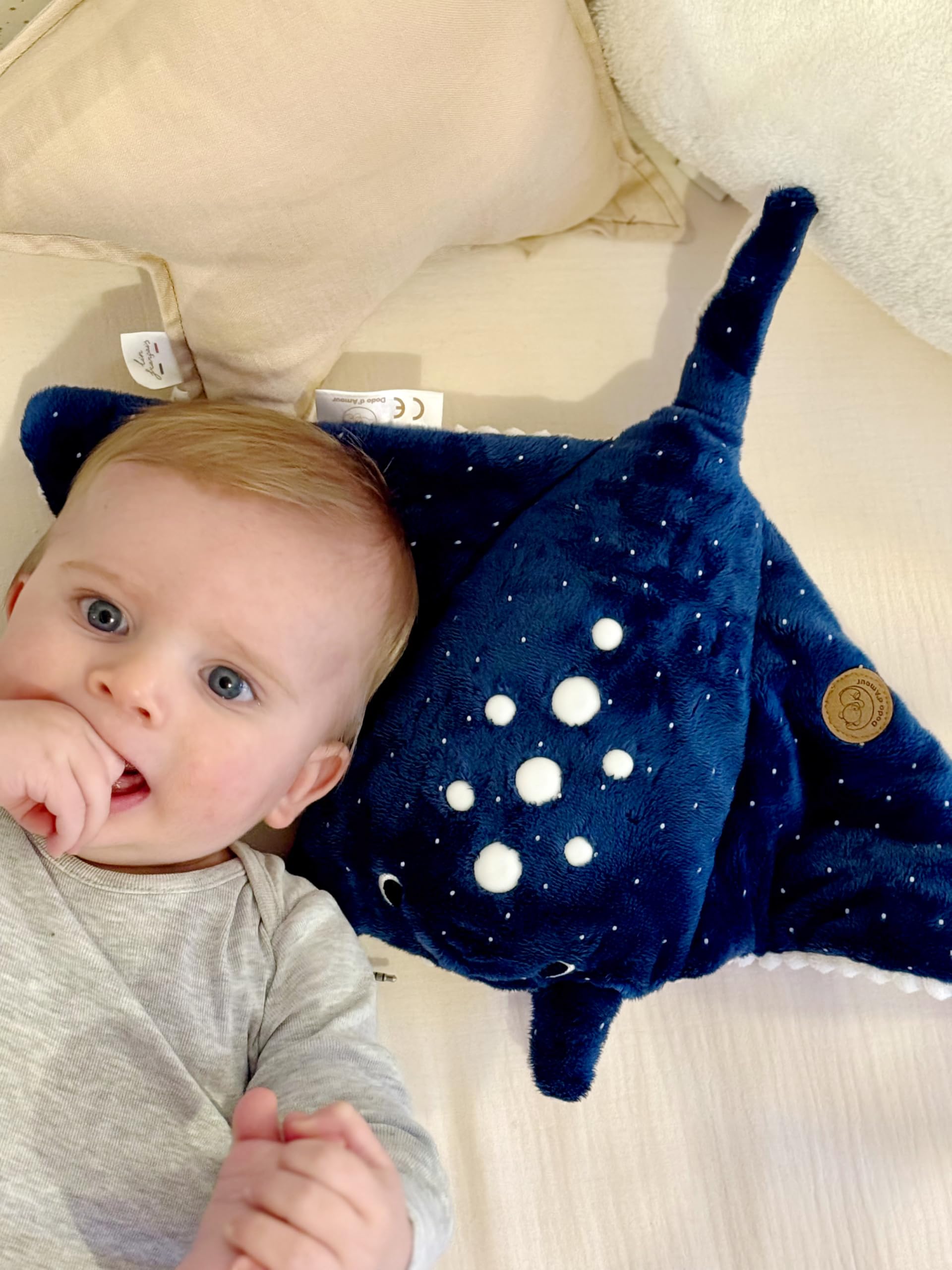 DODO D'AMOUR - Peluche Luce Notturna Manta Modula - Dodo Dreamer - 053065 - Blu - Regalo - Lavabile in Macchina - Creatore Francese - Coach del Sonno Bambino - Sleep Trainer - dalla nascita