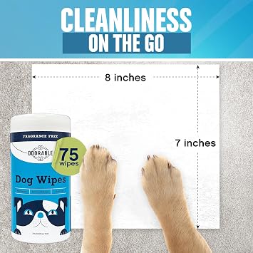 Dog Lover's Bundle - Pet Stain & Odor Eliminator Spray, Allergy-Sensitive Dog Grooming Wipes, Efficient Urine and Poop Cleaner, Pet-Friendly, Fragrance-Free, Multipurpose Deodorizer
