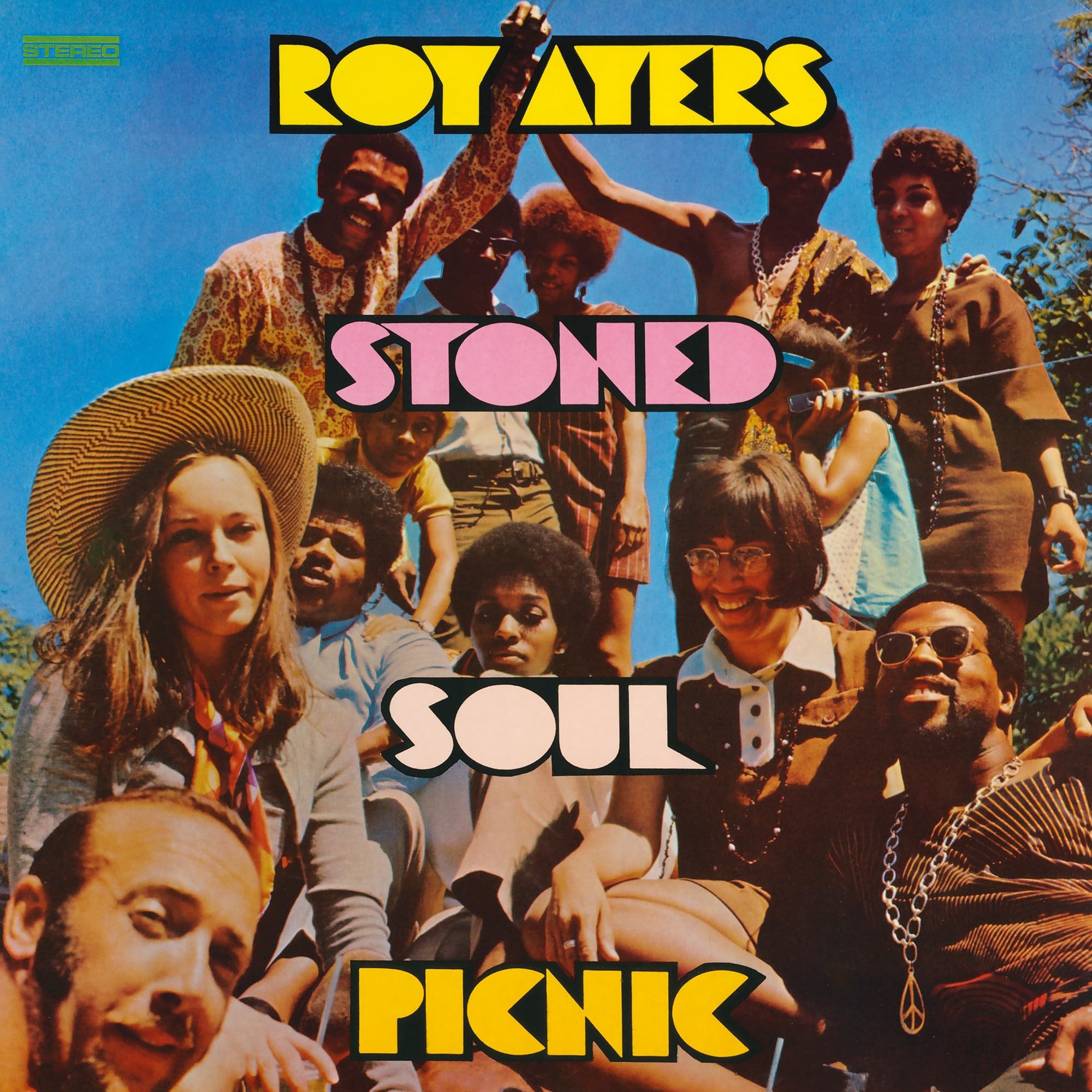 Stoned Soul Picnic [VINYL]