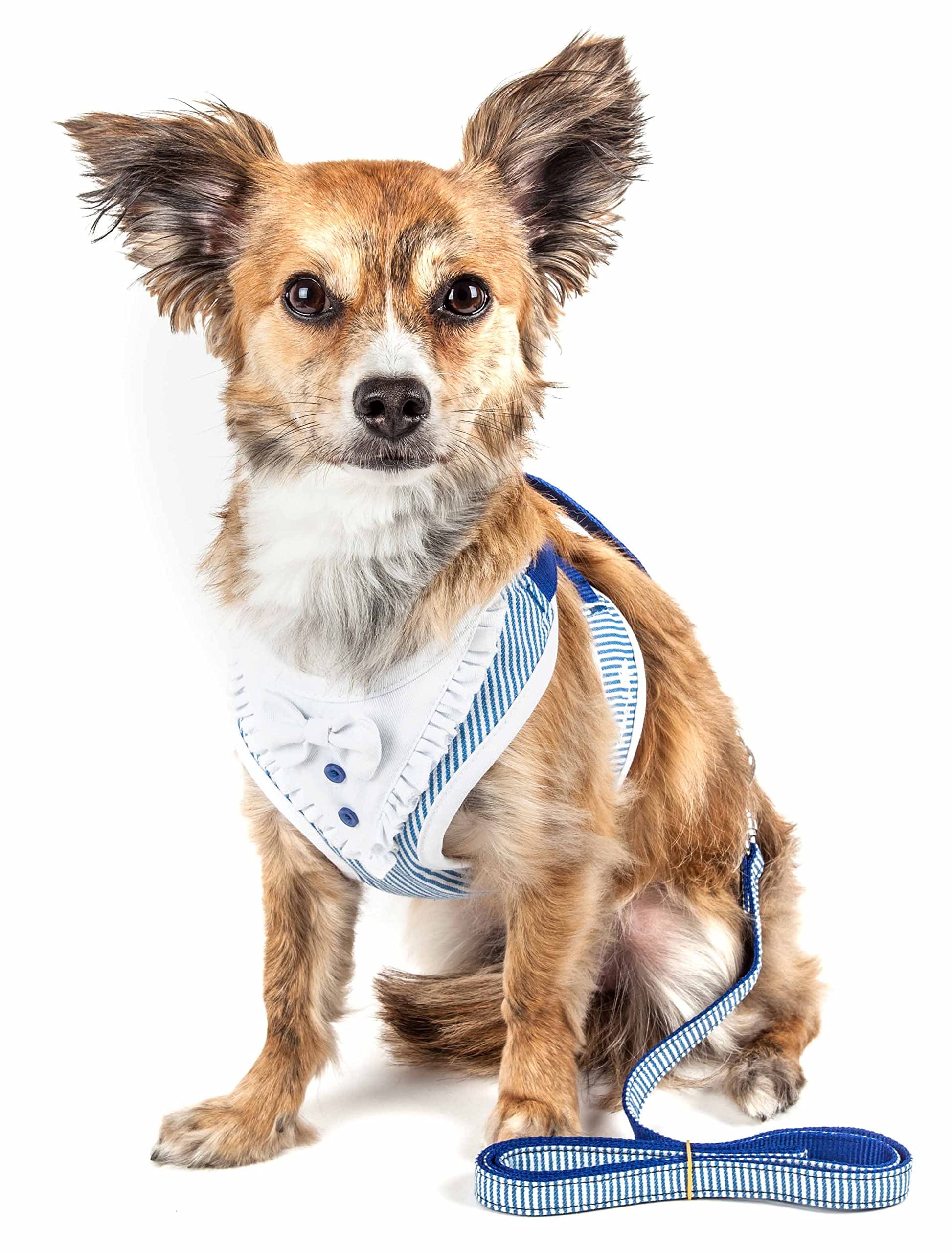 Amazon | Pet Life ® Luxe Collection Spawling 2-in-1 犬用ハーネスと