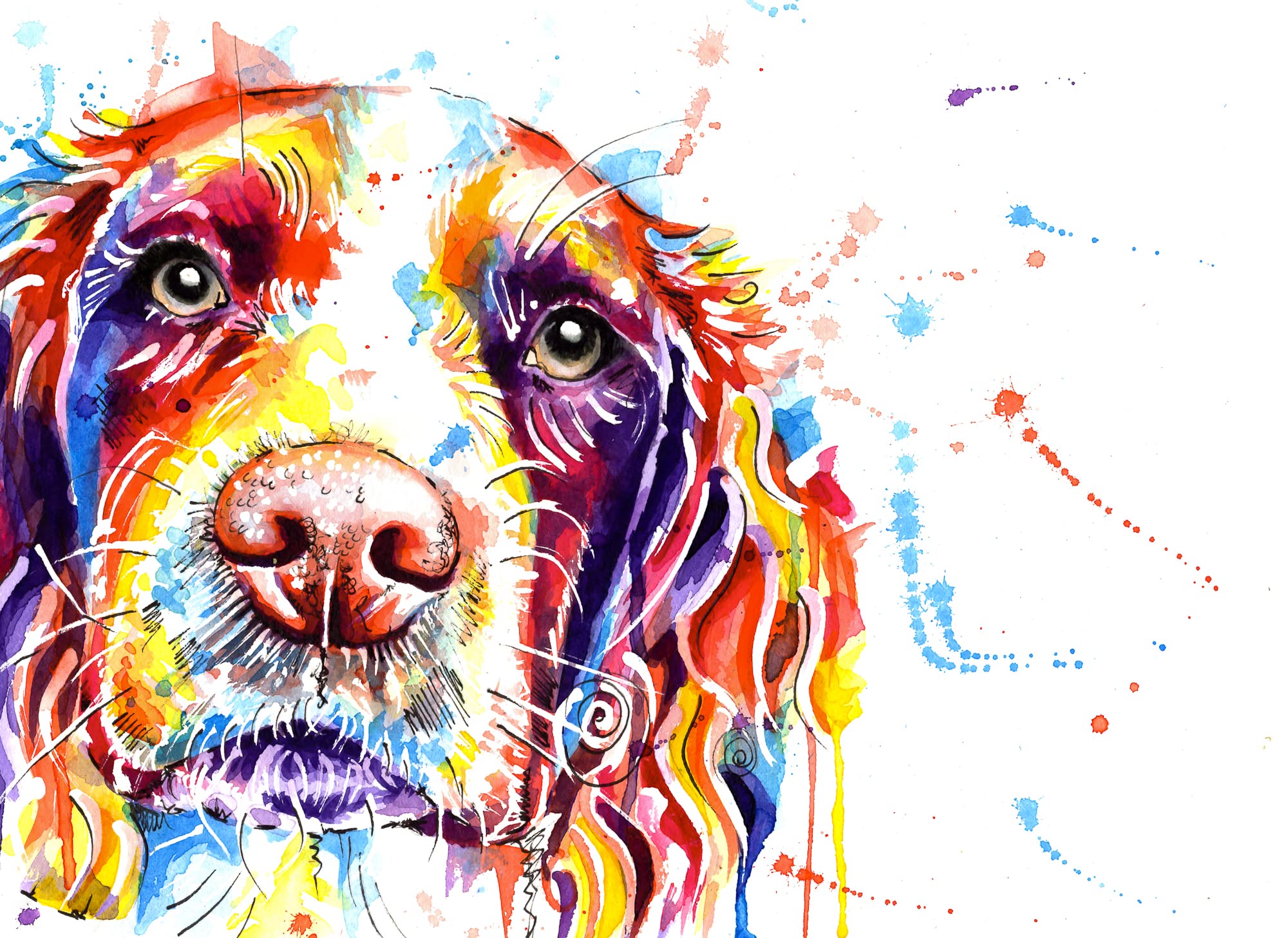 Springer Spaniel Cocker Print Painting Art Watercolour, Dog Artwork, Wall Art Gifts|A2 PRINT ONLY - 16.5 x 23.5 INCHES