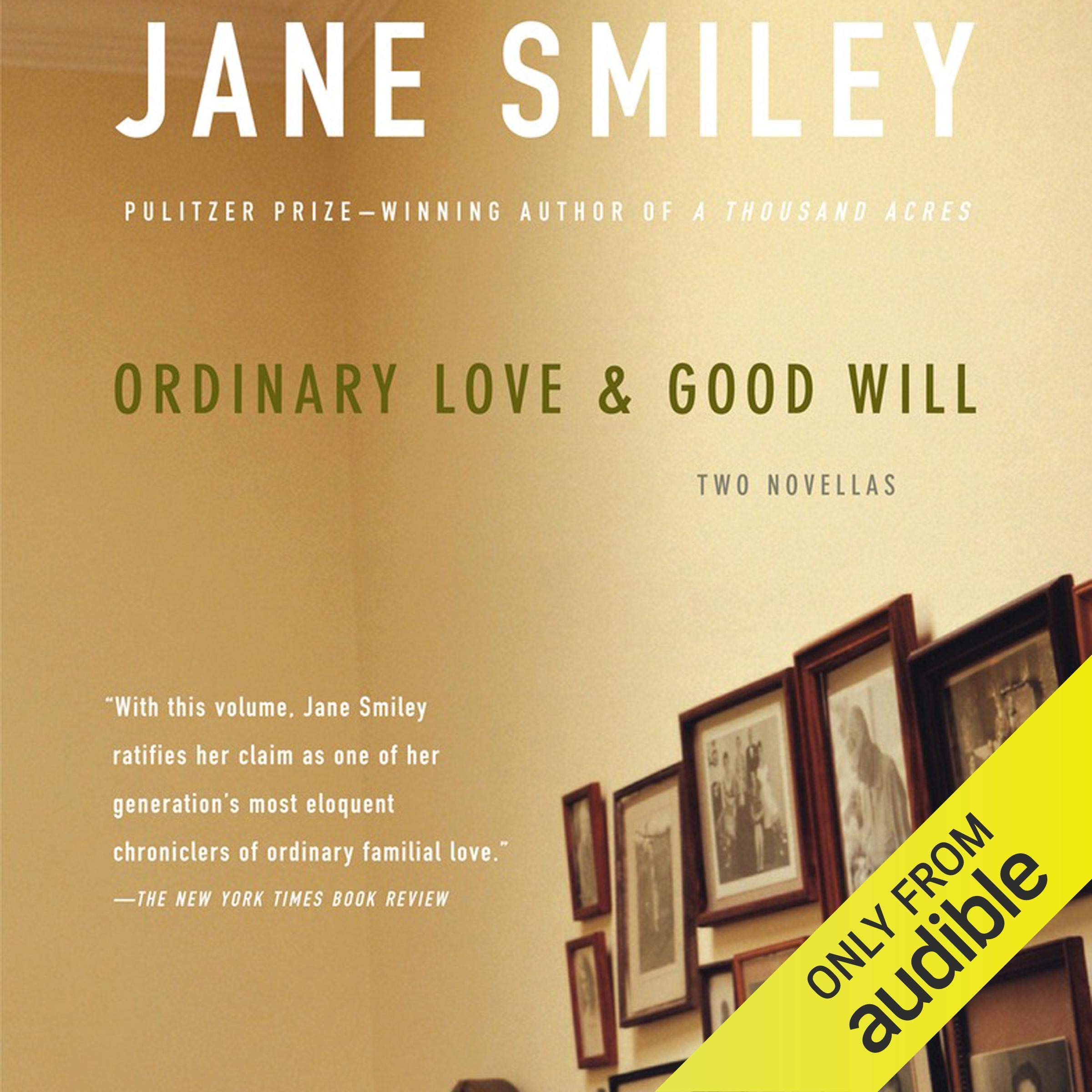 Cover art for Ordinary Love and Good Will