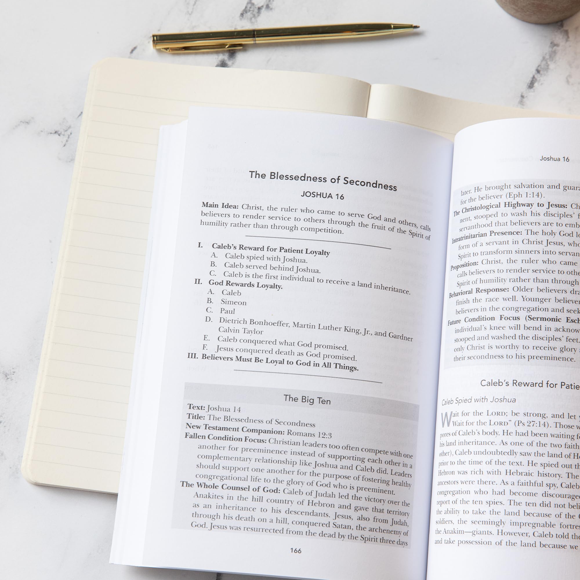 Exalting Jesus in Joshua (Christ-Centered Exposition Commentary) - Image 11