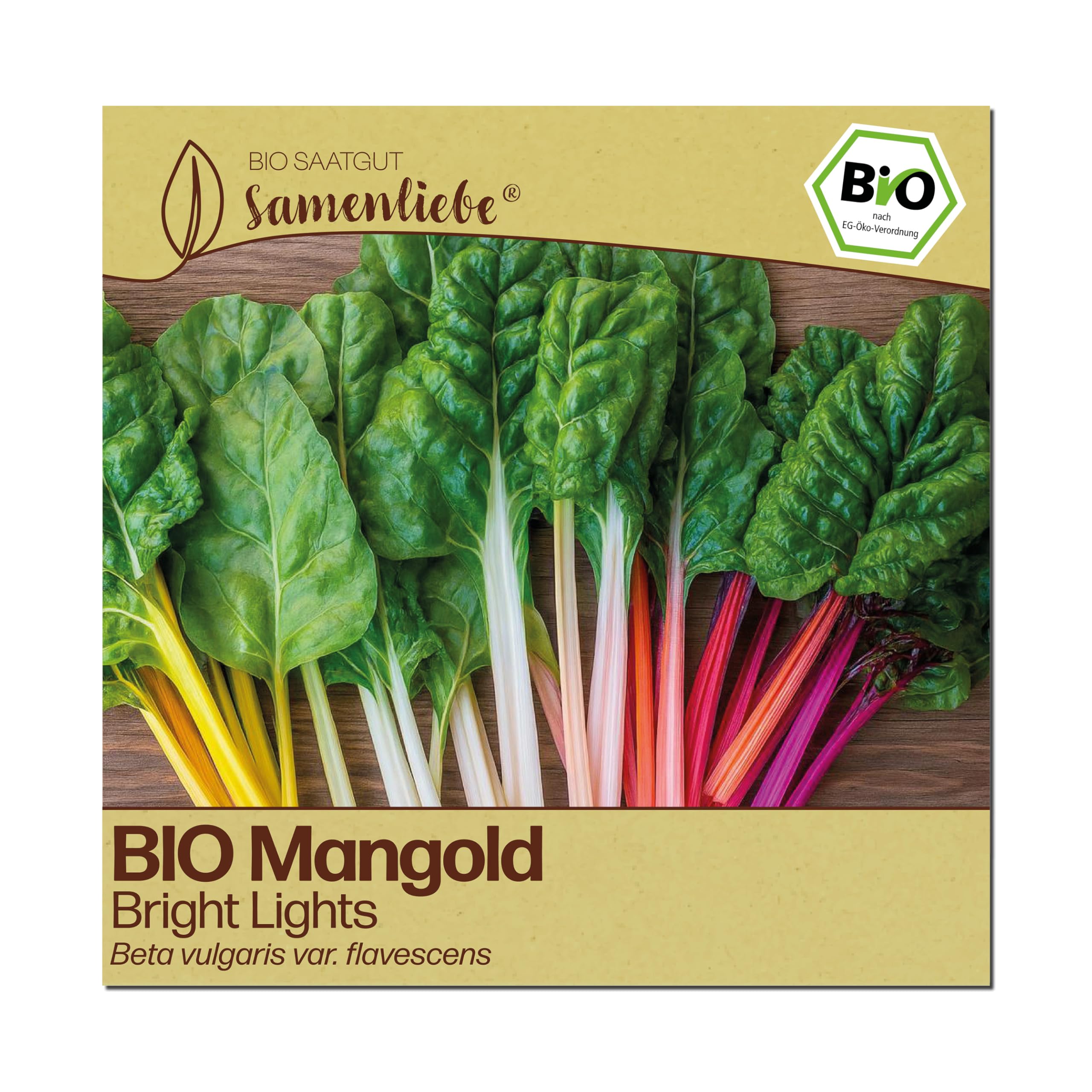 Samenliebe BIO Mangold Samen | Regenbogenmangold Bright Lights - bunt & winterhart - samenfestes BIO Saatgut