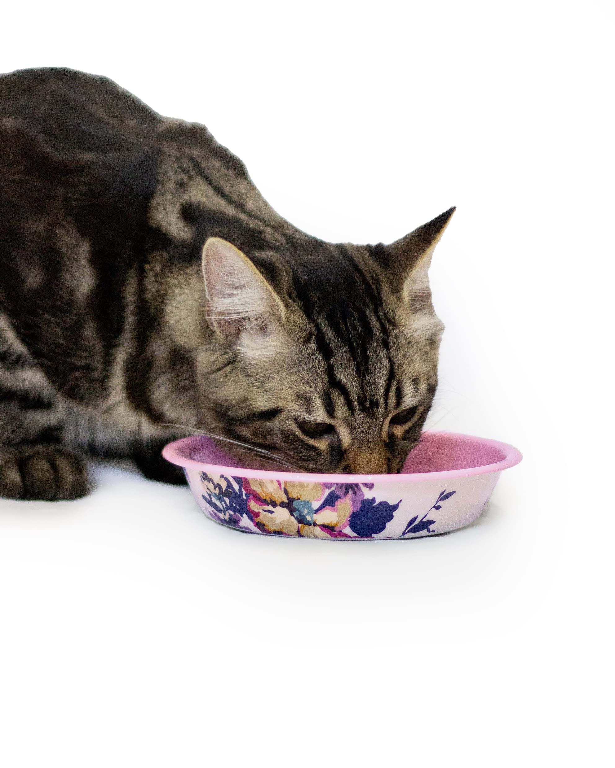 Rosewood Joules Pink Floral Meow Print Cat Food or Water Bowl, 380ml Capacity