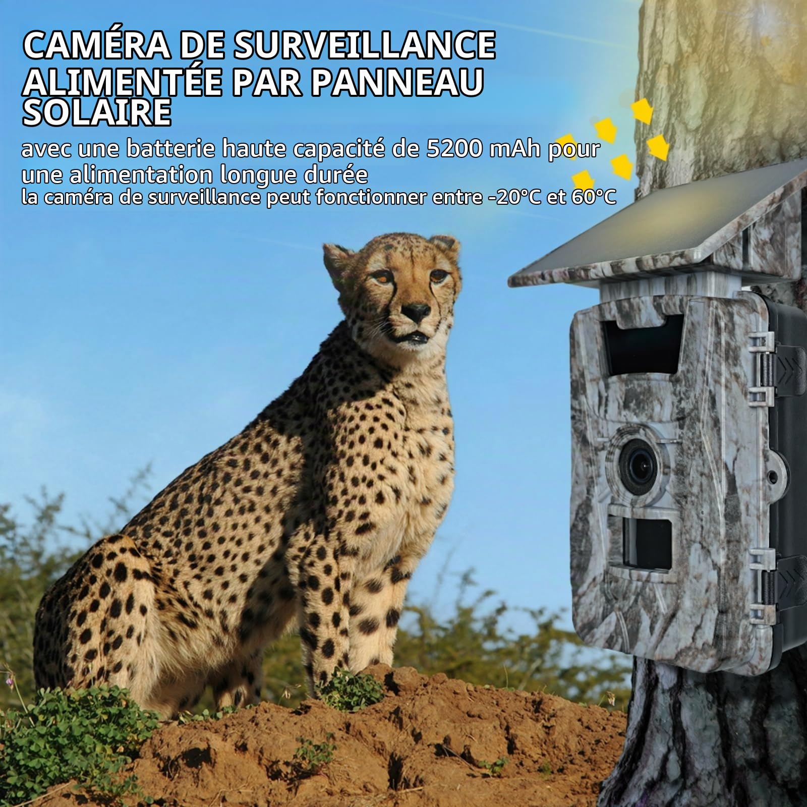 EMEBAY Caméra de Chasse Solaire avec Carte SD 64Go, 4K 60MP WiFi Camera
