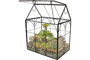 Tapered Glass Geometric Plant Terrarium with Black Metal Frame