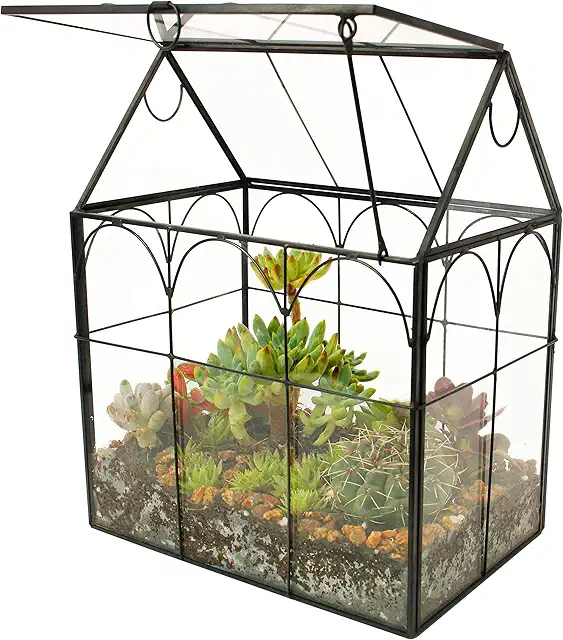 ElegantLife House Shape Glass Terrarium for Succulents, Air Plants & Moss