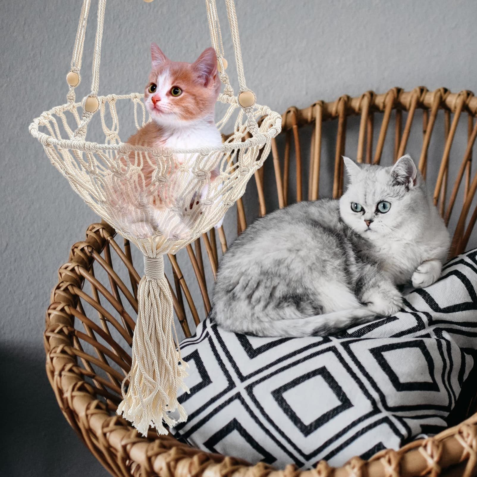 ABOOFAN 4 Stück Haustier Hängematte Katzenfensterbarschbecher Hängendes Katzenbett katzenhängebett katzenhängematte Katzenspielzeug für zuhause Haustier hängendes Nest Baumwollfaden Khaki