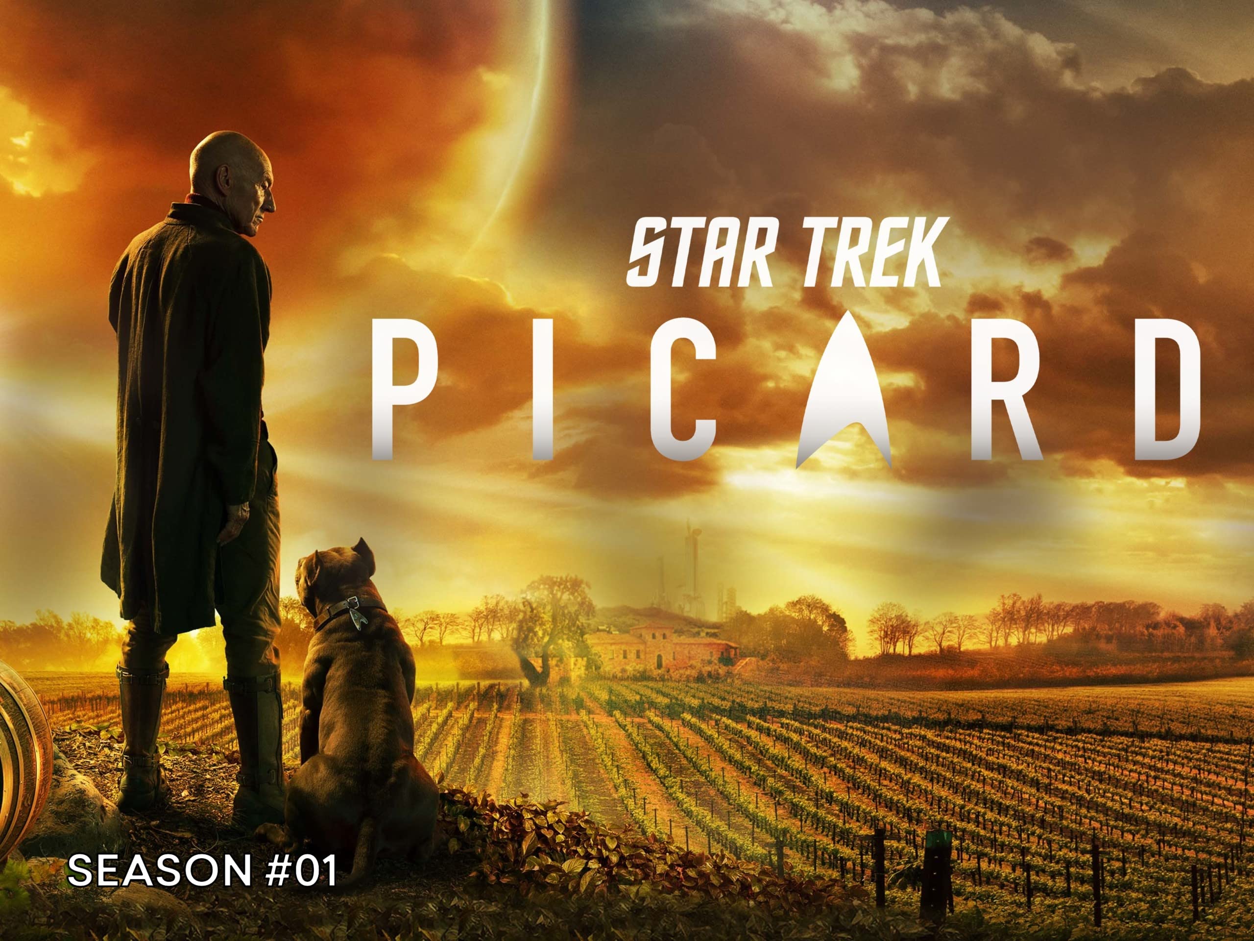 Star Trek: Picard (TV Series)