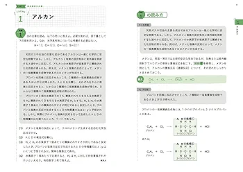 照井式問題集 有機化学 問題文の読み方 (大学受験Vブックス