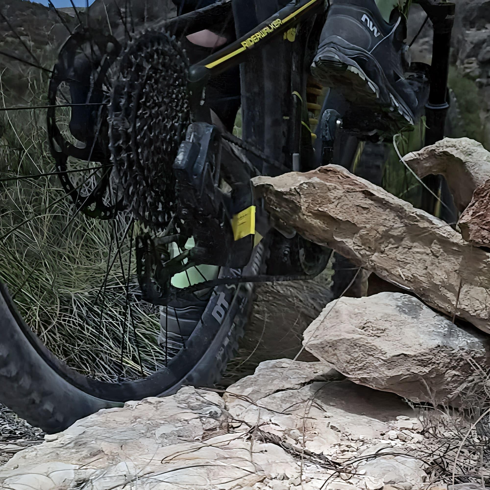 Protector de Cambio MTB para Condiciones Extremas, Protector de Desviador para Bicicletas de Montaña