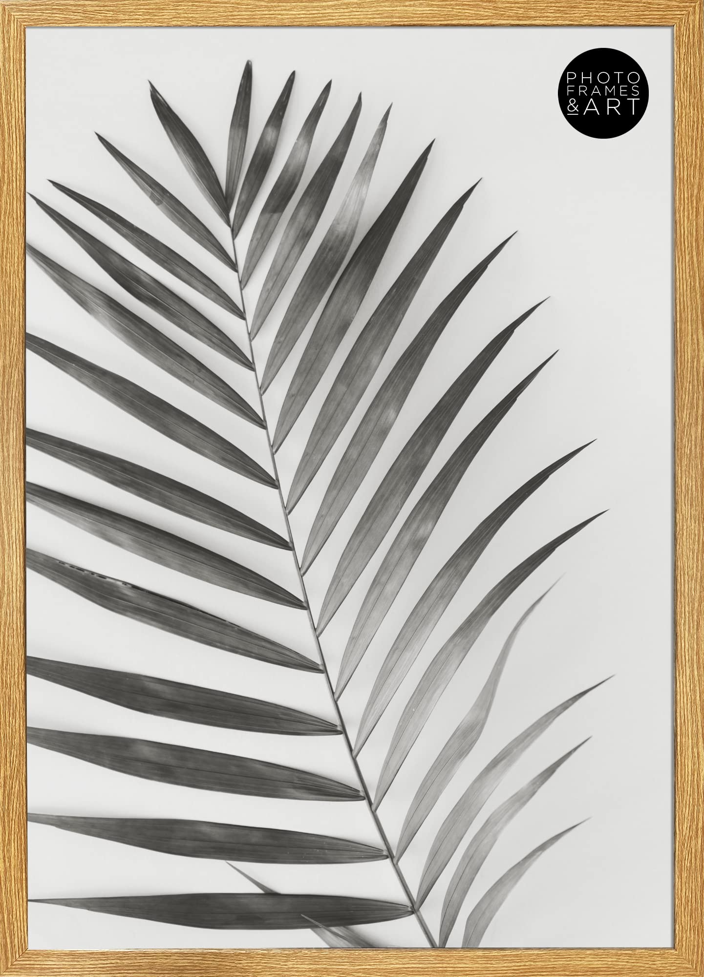 pf+a Oak Effect Frame For A2 (42x59.4cm) Poster - STYRENE WINDOW - Oak Poster Frame For A2 Portrait and Landscape Display