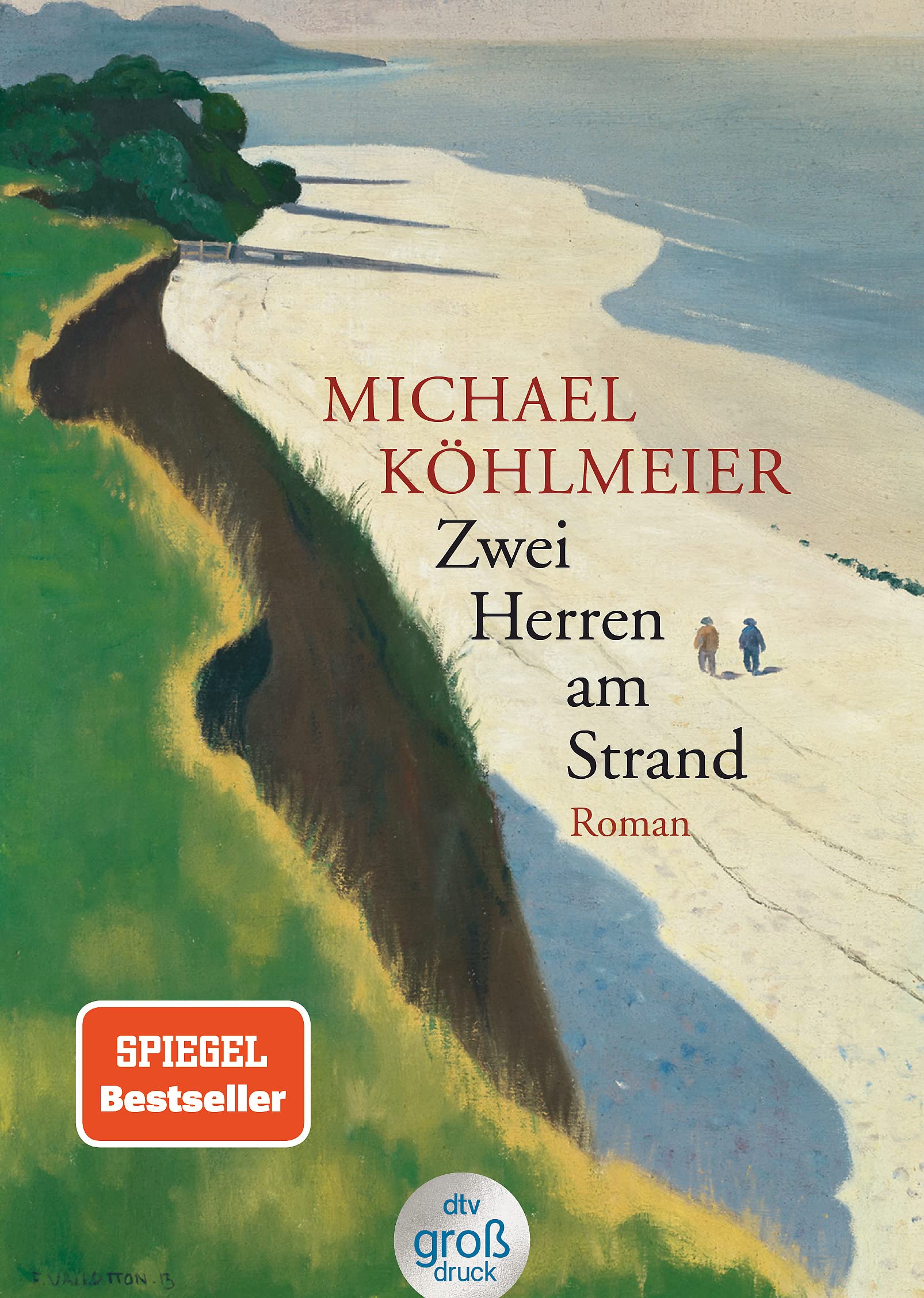 Dtv Verlagsgesellschaft Mbh & Co. Kg Herren Zwei Am Strand: Roman (Dtv Großdruck)
