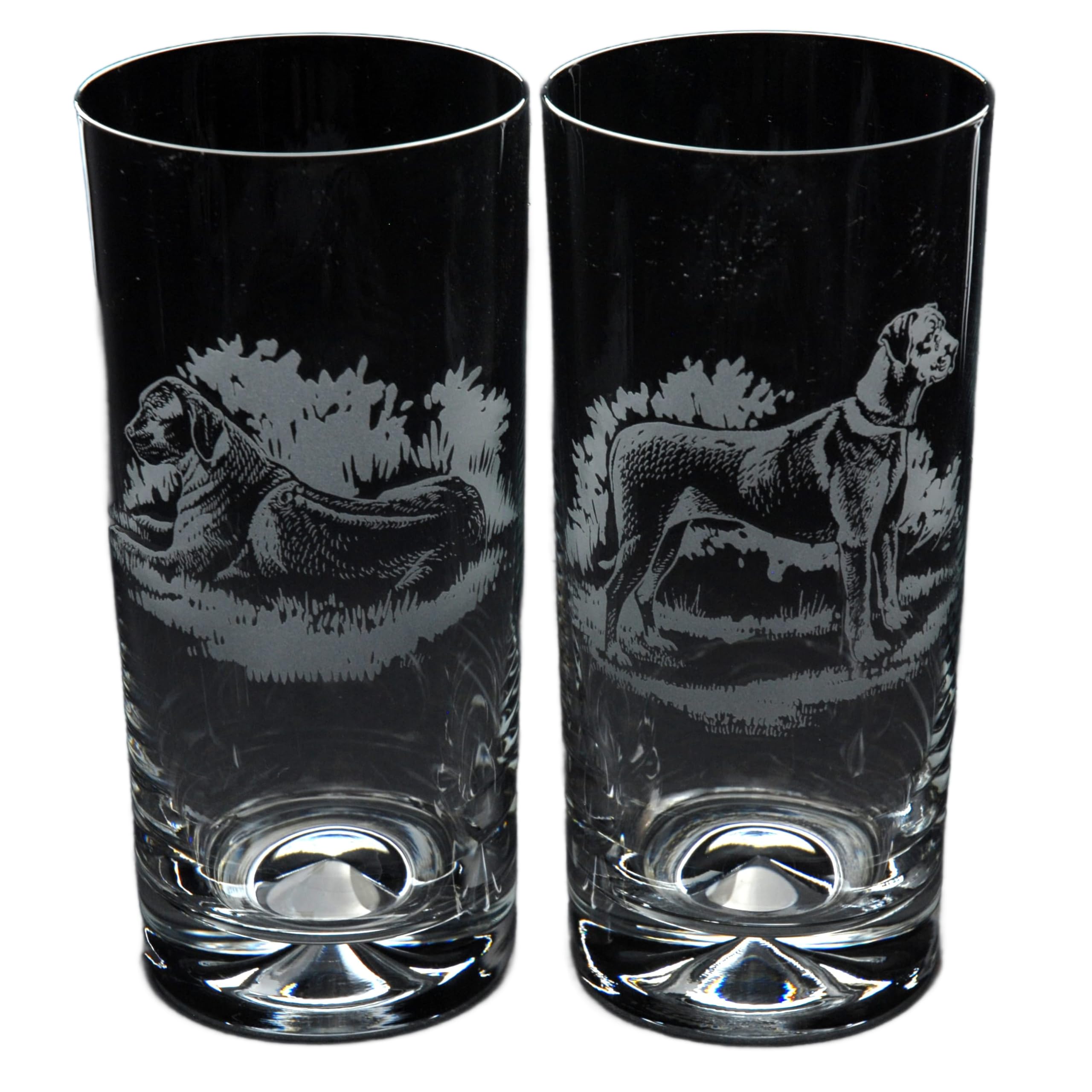 GLYPTIC Glass Art Rhodesian Ridgeback Dog Placement Hand Etched/Engraved Highball Glass