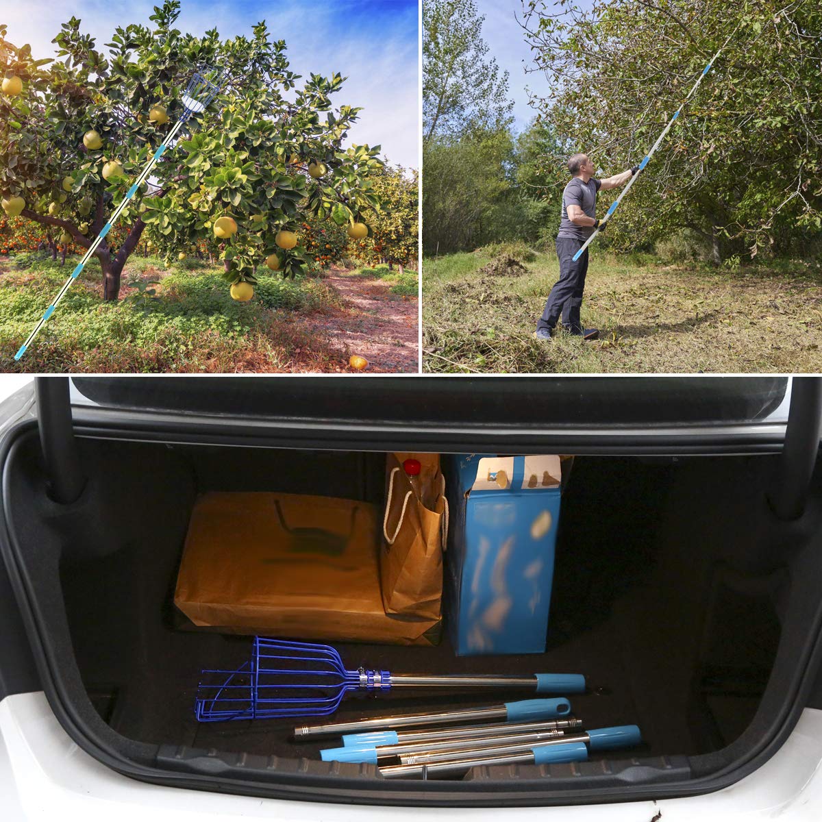 Strumento raccoglitrice di frutta, CestMall raccoglitrice di frutta da 13 piedi con palo telescopico in alluminio leggero e cesto, raccoglitore di frutta facile da montare, usa raccoglitrice di frutta