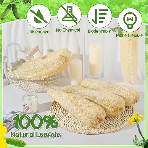 6-Pack Natural Loofah Sponges for Body & Kitchen
